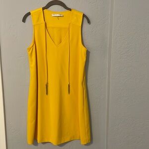 Trina Turk Sleeveless Dress size 10
